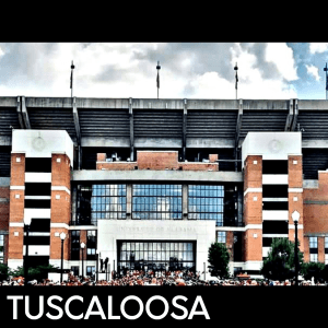 best movers in tuscaloosa alabama